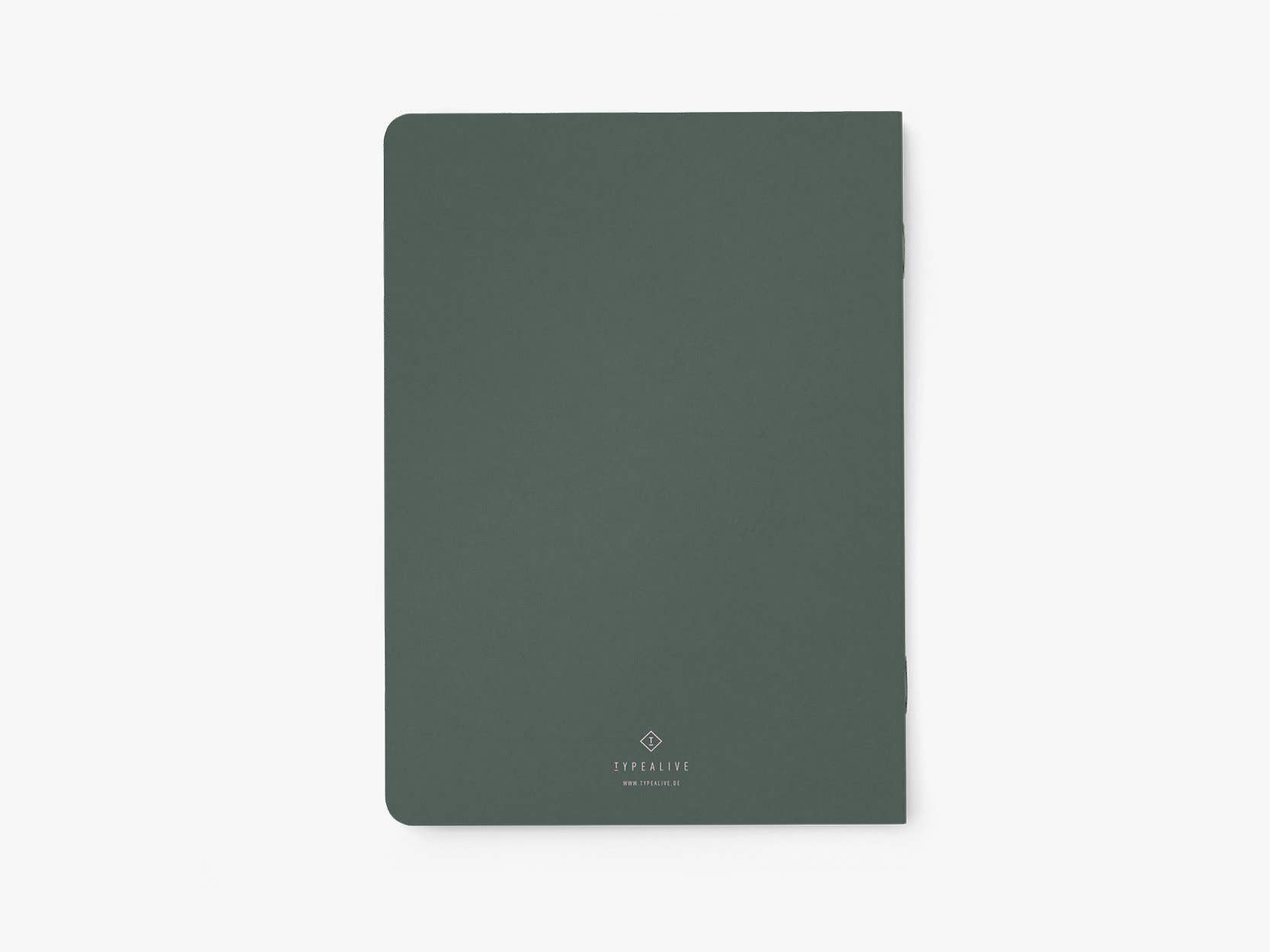 Journal/Bodies I Buried