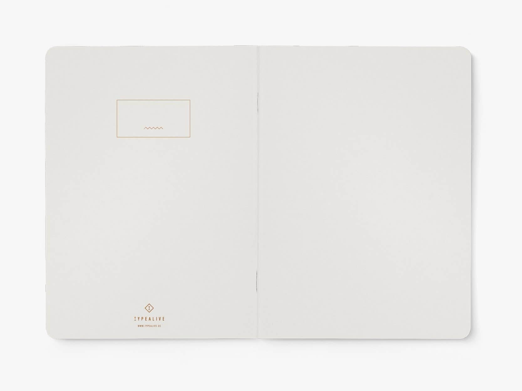 Journal/Feminist Agenda